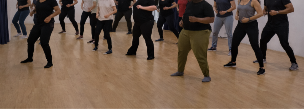 Danser Nos Vies